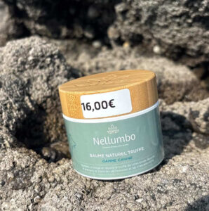 Produits soins chien naturels sérum pelage soins animaux bien-être chien