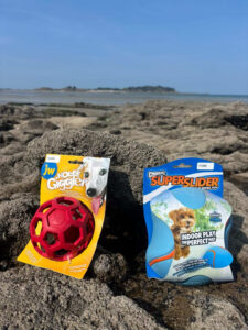 Jouets pour chiens