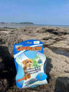 Jouet chien Chuckit Super Slider jouet interactif pour chien stimulation jeu extérieur