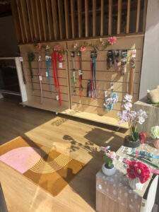 Laisse chien et harnais chien exposés en boutique accessoires promenade chien